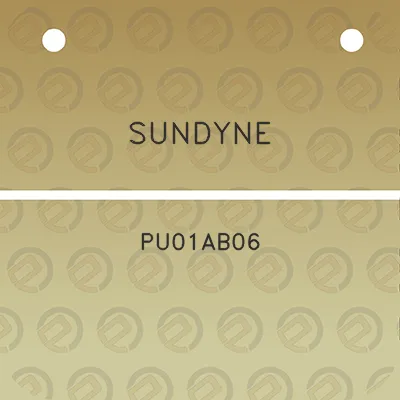 sundyne-pu01ab06