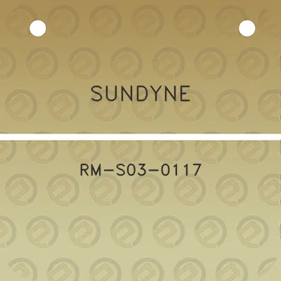 sundyne-rm-s03-0117