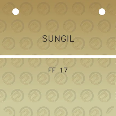 sungil-ff-17