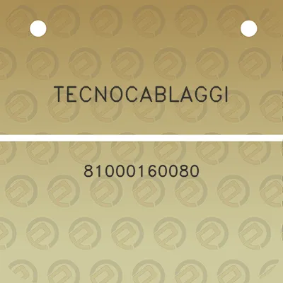 tecnocablaggi-81000160080