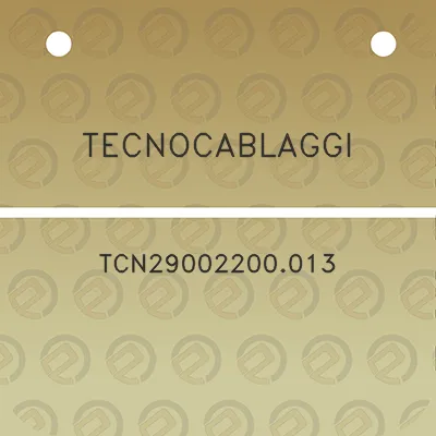 tecnocablaggi-tcn29002200013