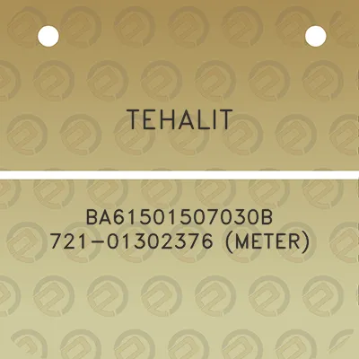 tehalit-ba61501507030b-721-01302376-meter