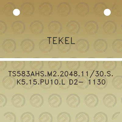 tekel-ts583ahsm220481130sk515pu10l-d2-1130