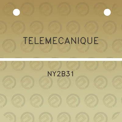 telemecanique-ny2b31