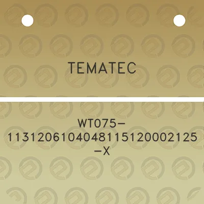 tematec-wt075-1131206104048115120002125-x