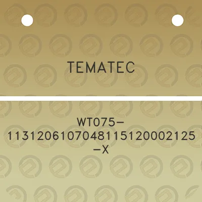 tematec-wt075-1131206107048115120002125-x