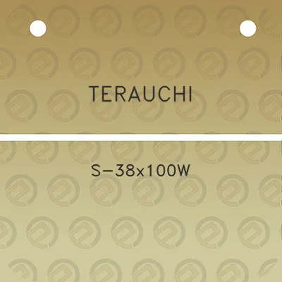 terauchi-s-38x100w