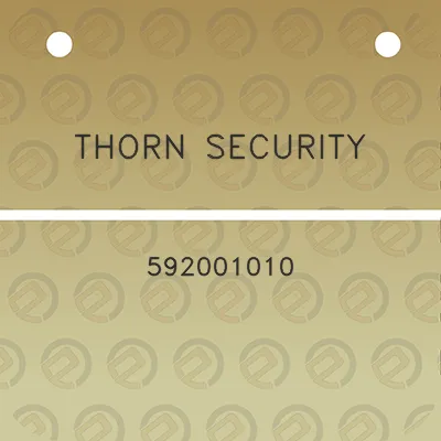 thorn-security-592001010