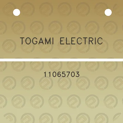 togami-electric-11065703