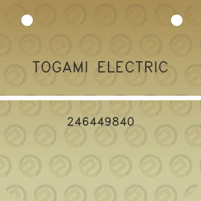 togami-electric-246449840