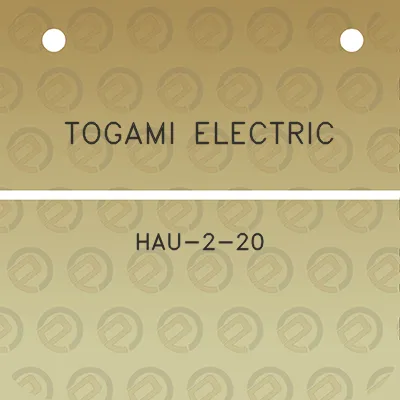 togami-electric-hau-2-20