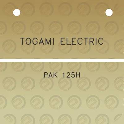 togami-electric-pak-125h