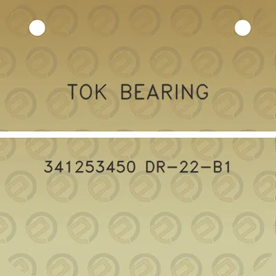 tok-bearing-341253450-dr-22-b1