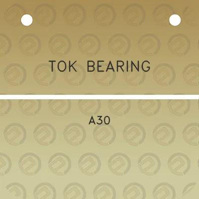 tok-bearing-a30