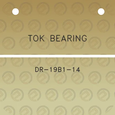 tok-bearing-dr-19b1-14