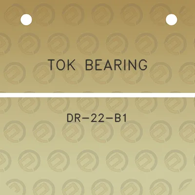 tok-bearing-dr-22-b1