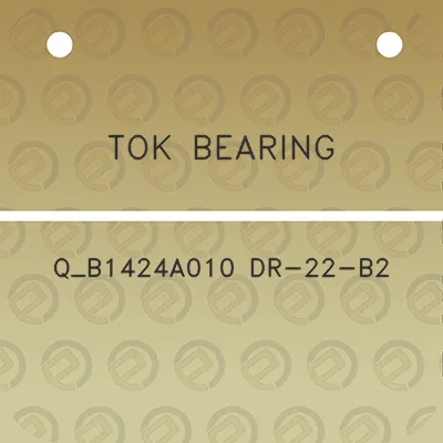 tok-bearing-q_b1424a010-dr-22-b2