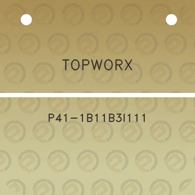 topworx-p41-1b11b3i111