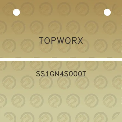 topworx-ss1gn4s000t