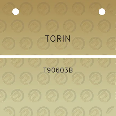 torin-t90603b