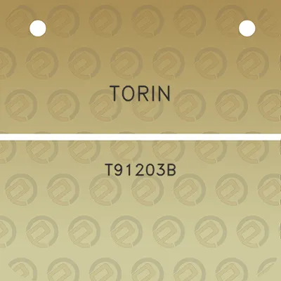 torin-t91203b