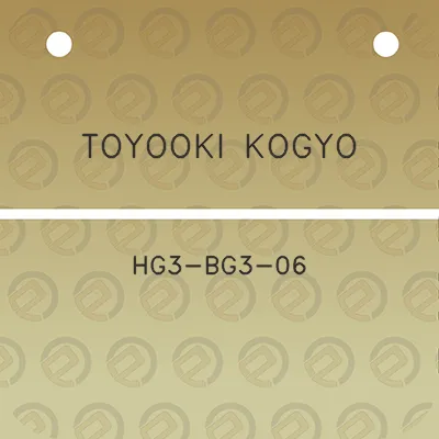 toyooki-kogyo-hg3-bg3-06