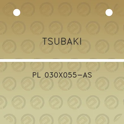 tsubaki-pl-030x055-as