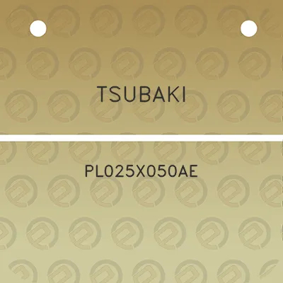 tsubaki-pl025x050ae