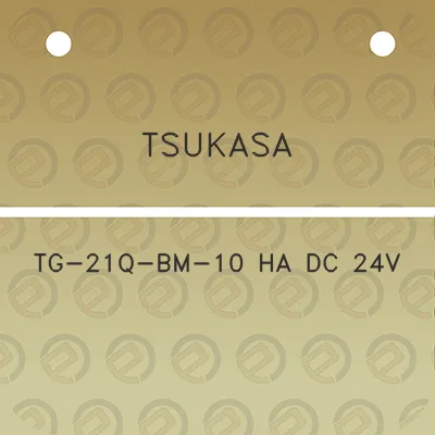 tsukasa-tg-21q-bm-10-ha-dc-24v