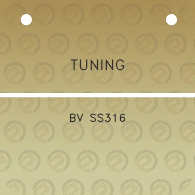 tuning-bv-ss316