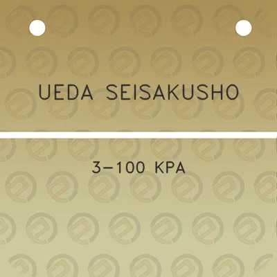 ueda-seisakusho-3-100-kpa