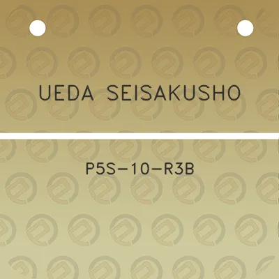 ueda-seisakusho-p5s-10-r3b