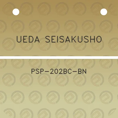 ueda-seisakusho-psp-202bc-bn