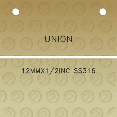 union-12mmx12inc-ss316