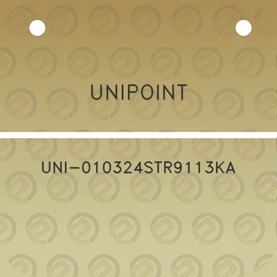 unipoint-uni-010324str9113ka