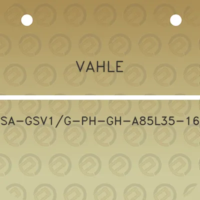 vahle-sa-gsv1g-ph-gh-a85l35-16