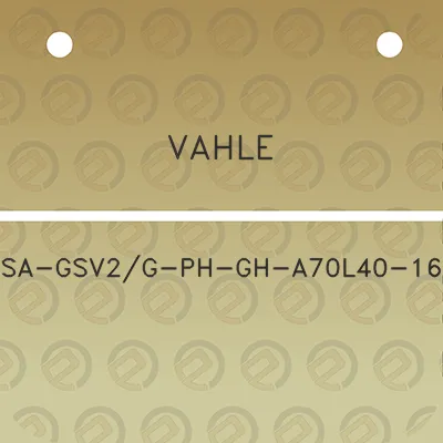 vahle-sa-gsv2g-ph-gh-a70l40-16