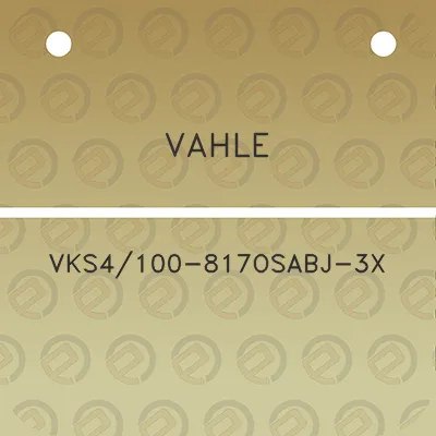 vahle-vks4100-817osabj-3x