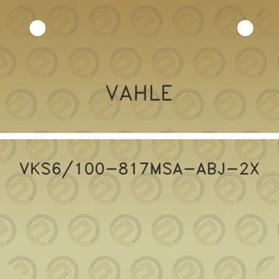 vahle-vks6100-817msa-abj-2x