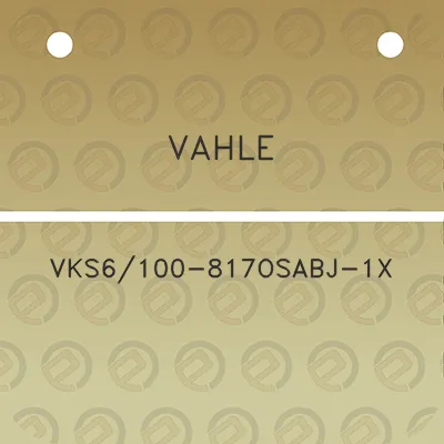 vahle-vks6100-817osabj-1x