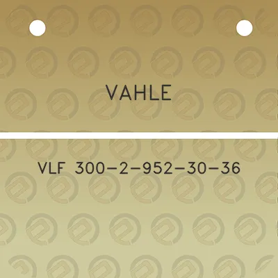 vahle-vlf-300-2-952-30-36