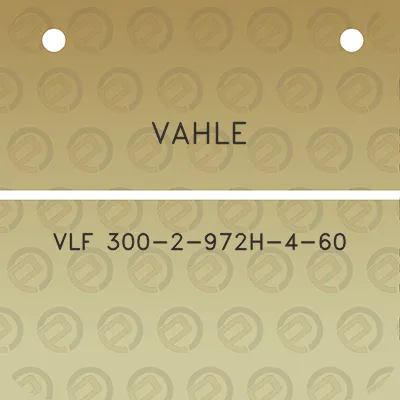 vahle-vlf-300-2-972h-4-60