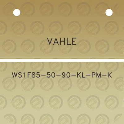 vahle-ws1f85-50-90-kl-pm-k