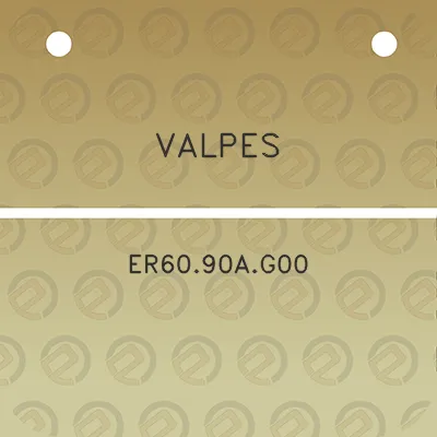 valpes-er6090ag00