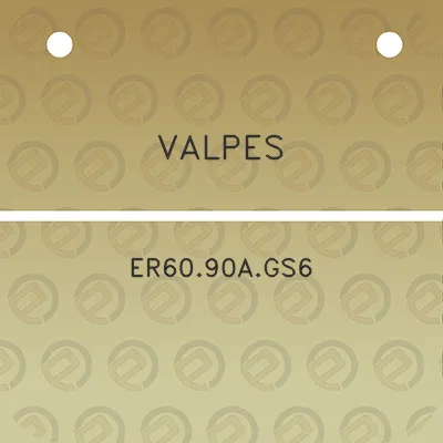 valpes-er6090ags6