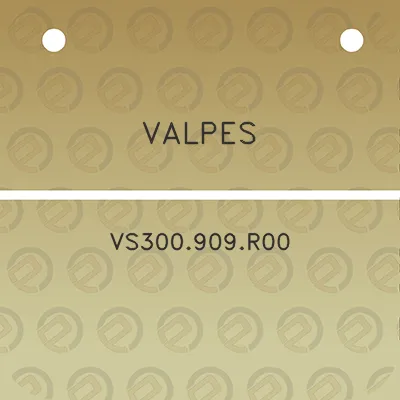 valpes-vs300909r00