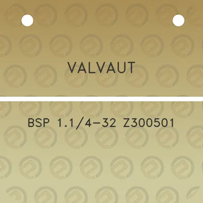 valvaut-bsp-114-32-z300501