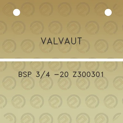 valvaut-bsp-34-20-z300301