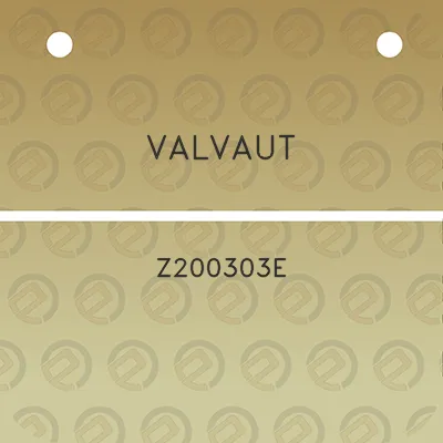 valvaut-z200303e