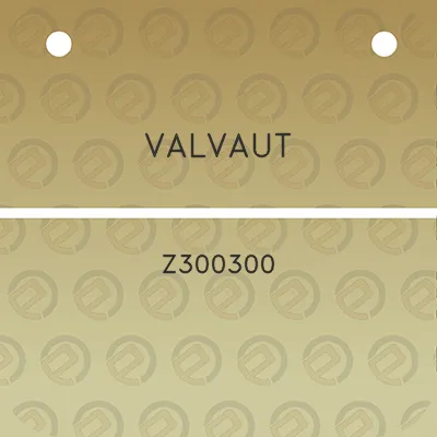 valvaut-z300300